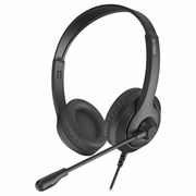 Наушники с микрофоном (гарнитура) A4TECH Fstyler FH100U, проводные, 2 м, USB, черные, 1774509