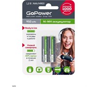 Предзаряженный аккумулятор GoPower RTU