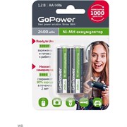 Предзаряженный аккумулятор GoPower RTU