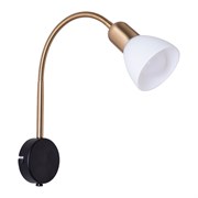 Настенный светильник Arte Lamp A3116AP-1BK