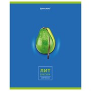 Тетрадь предметная "AVOCADO" 48 л., глянцевый лак, ЛИТЕРАТУРА, линия, подсказ, BRAUBERG, 404281