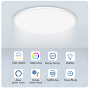 Светильник потолочный Moes Wi-Fi Smart Ceiling Light белый модели WCL-TD