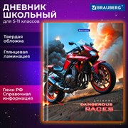 Дневник 5-11 класс 48 л., твердый, BRAUBERG, глянцевая ламинация, с подсказом, "Байк", 107186