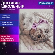 Дневник 5-11 класс 48 л., твердый, BRAUBERG, глянцевая ламинация, с подсказом, "Котик", 107188