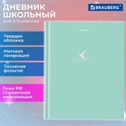 Дневник 5-11 класс 48 л., твердый, BRAUBERG, фольга, с подсказом, "Aspiration", 107199