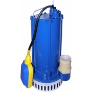 Электронасос Ливгидромаш 10-10 Д