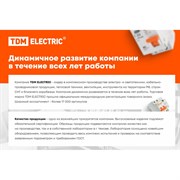 Горизонтальная пятипостовая рамка TDM ELECTRIC Лама