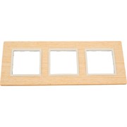 Рамка ЭРА Elegance