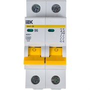 Автоматический выключатель IEK ВА47-29