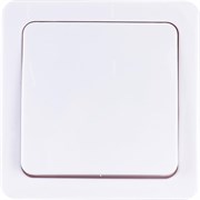 Одноклавишный кнопочный проходной переключатель IEK ВСп20-1-0-ГПБ, ГЕРМЕС PLUS