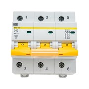 Автоматический выключатель IEK ВА47-100