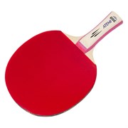 Ракетка для настольного тенниса Atemi 300 CV