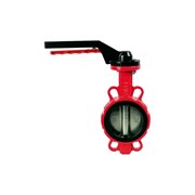 Затвор поворотный DYARM -ZP-100-16-G-G-E-HT