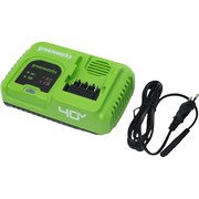 Быстрое зарядное устройство GreenWorks G40UC5