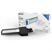 Уличный светильник GAUSS Qplus