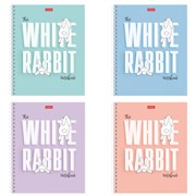 Тетрадь А5, 48 л., HATBER гребень, клетка, обложка картон, "Следуй за белым кроликом" (микс), 087016, 48Т5В1гр