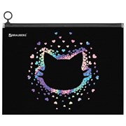 Папка для тетрадей BRAUBERG А4, 1 отделение, пластик, на zip-lock молнии, "Pretty face", 273319