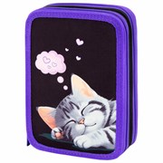 Пенал BRAUBERG, 3 отделения, полиэстер, 21х14 см, "Sleeping kitten", 273538