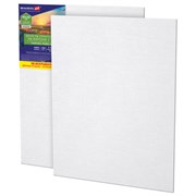 Холсты на картоне НАБОР 2 штуки (40х50 см), хлопок, грунт, 280 г/м2, BRAUBERG ART CLASSIC, 192655