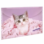 Папка-конверт с кнопкой ЮНЛАНДИЯ "Котенок", А4, 160 мкм, до 100 листов, цветная печать, 228049