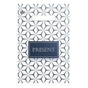 Пакет с вырубной ручкой ПВД, 30х20 см, "Презент", 30 мкм, н00255554