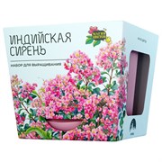 Набор для выращивания растений МАГИЯ ЦВЕТОВ "Индийская сирень" (горшок, грунт, семена), mf-020