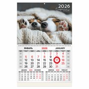 Календарь квартальный 2026 г., 1 блок, 1 гребень, магнитный курсор, мелованная бумага, BRAUBERG, "Носики", 116922