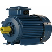 Электродвигатель 5АИ 80 В4 FT100 1.5/1500 IM 2181