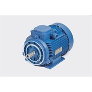 Электродвигатель МЭЗ У2-220/380-50IM2181-Р.К.В.К31Е-ААА-IE1 (Могилев)