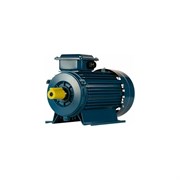 Электродвигатель 5АИ 90 L6 1.5/1000 IM 1081
