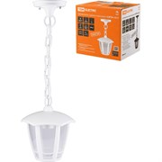 Садово-парковый подвесной светильник TDM ELECTRIC СИТИ НСУ 07-60-002