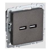 Розетка usb IEK Brite