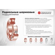 Подшипник DINROLL NU309