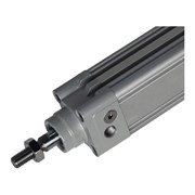 Пневмоцилиндр NBPT 80404