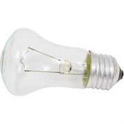 Лампа накаливания КЭЛЗ 8106005