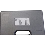 Набор метчиков и плашек ООО "ТМТ ГРУПП" 100182