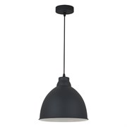 Подвесной светильник Arte Lamp A2055SP-1BK