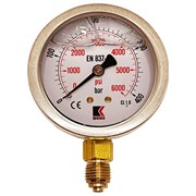 Радиальный глицериновый гидравлический виброустойчивый манометр АРКАИМ WKP1007