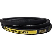 Клиновой узкий усиленный ремень PIX MUSCLE XS3