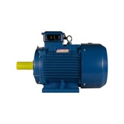 Электродвигатель 5АИ 225 М4 55/1500 IM 1001