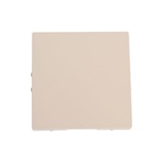 Заглушка Systeme Electric ATN001209