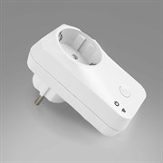 Умная розетка ELEKTROSTANDARD 76100 00