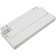 Поворотный светильник Neylight NL20-LBF2-12W-W