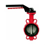 Затвор поворотный DYARM -ZP-100-16-G-G/ep-E