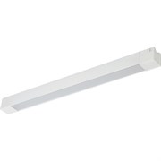 Однофазный трековый светильник ЭРА TR50 2040 WH