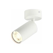 Потолочный светильник St Luce DARIO