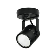 Накладной декоративный светильник Fametto DLC-S612