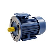 Электродвигатель ТМ БЭЗ АИР 100L6 IM2081