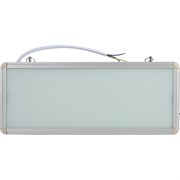Аварийный светодиодный светильник ЭРА SSA101020