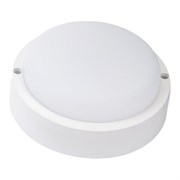 Cветодиодный круглый ЖКХ светильник IONICH 1598